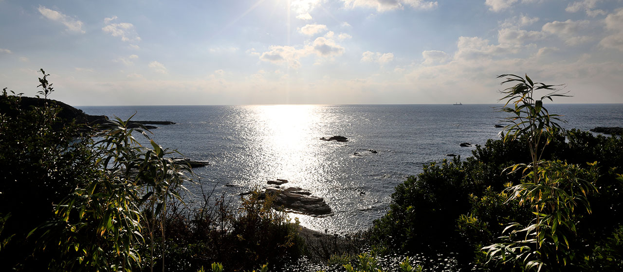 プール・天然温泉から望む太平洋